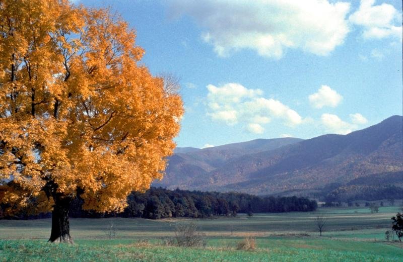 Cades Cove Autmn