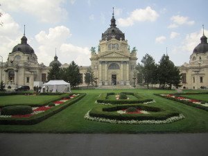 IMG_2441