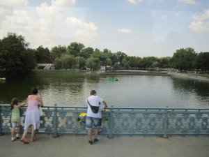 IMG_2442