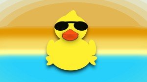 MW Duck Web (No Text)
