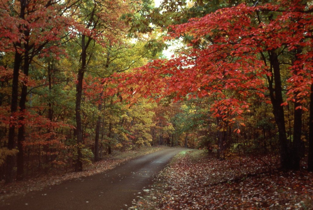 NPS Autumn Jpeg