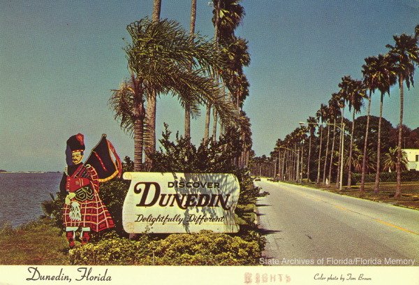 welcomedunedincolor
