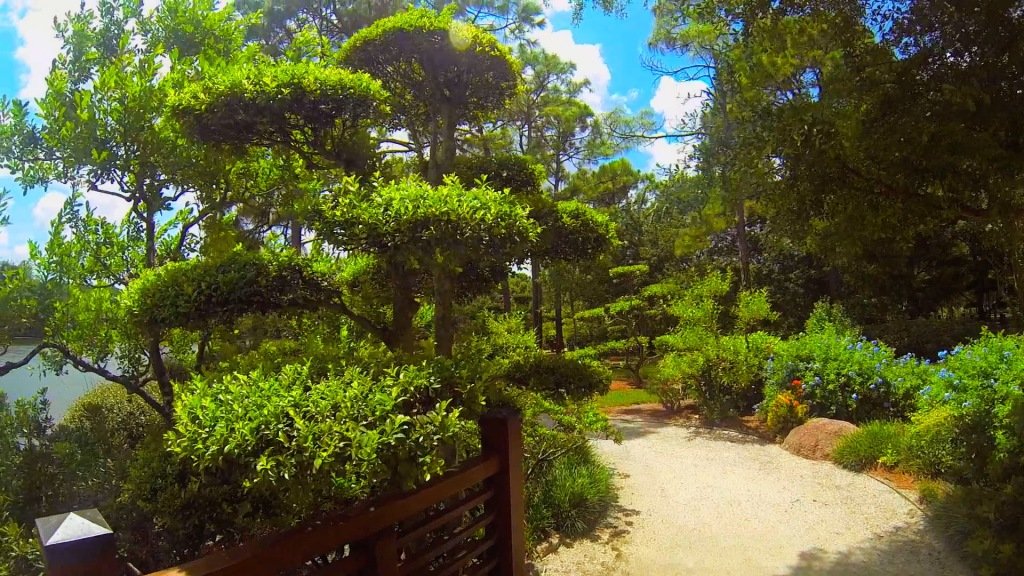 BONSAI