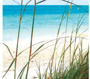 beaches-and-boating-bonita-springs-naples-fort-myers-estero-southwest-florida