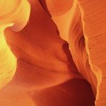 antelope8