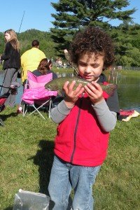 fish 3
