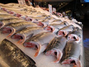 Fish