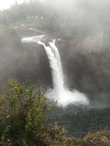 IMG_6603
