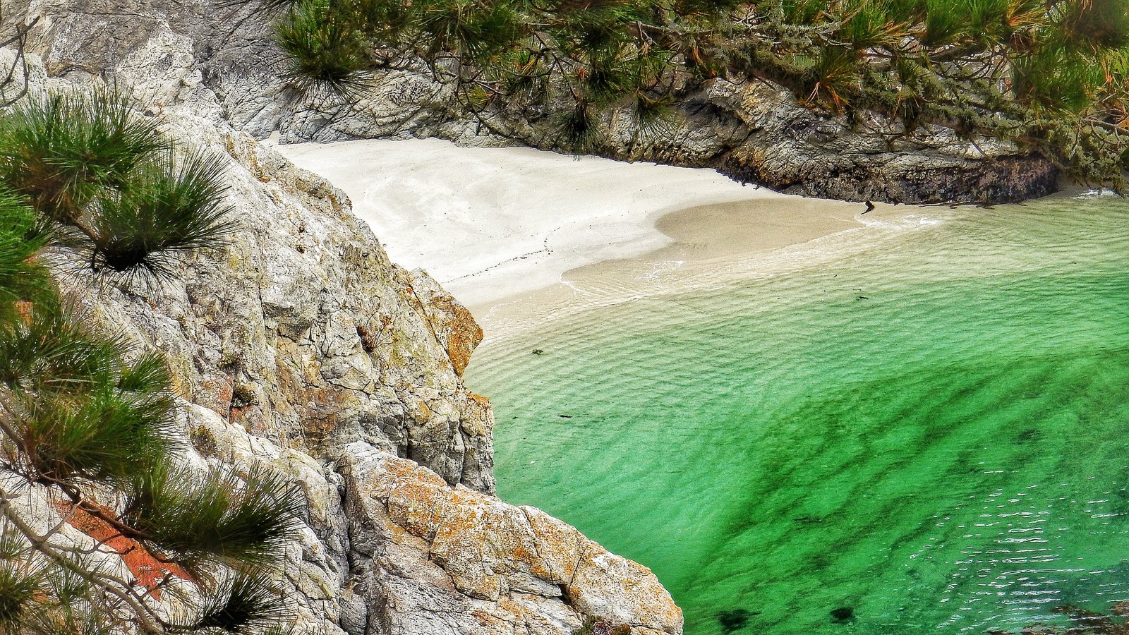 Point Lobos Nature Reserve