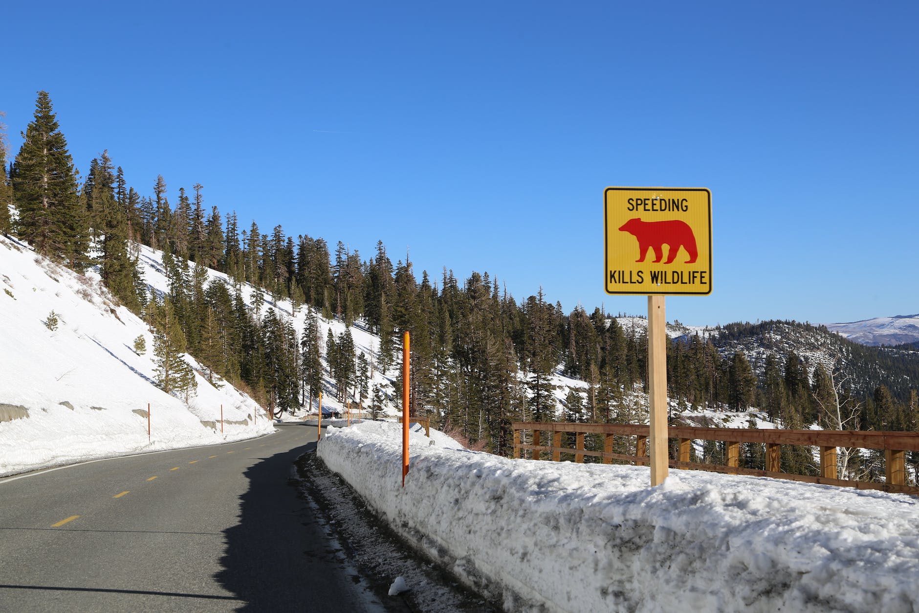 winter landscape with forest road and wildlife sign